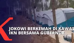 IKN Ilustrasi
